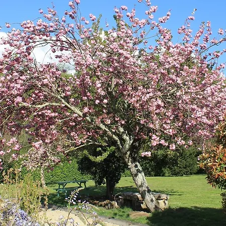 Au Domaine Du Chai